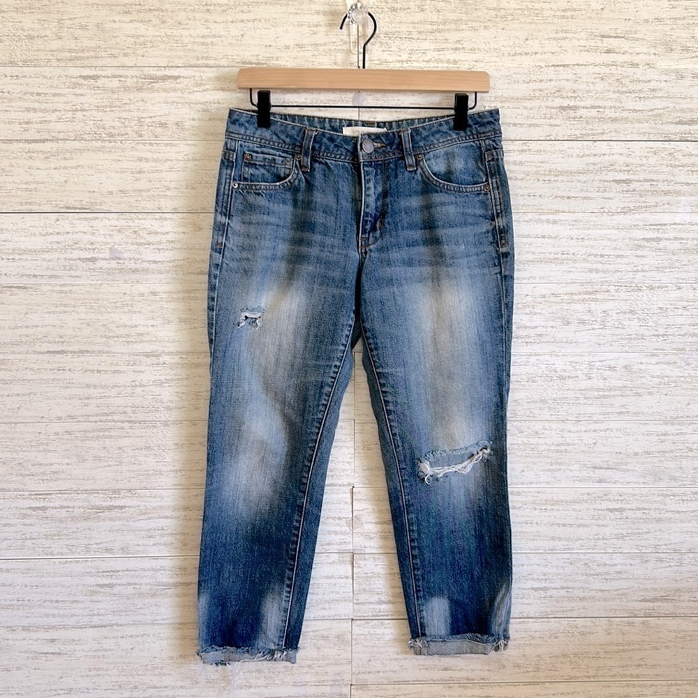 Life in Progress Distressed Crop Jeans | SIZE 24